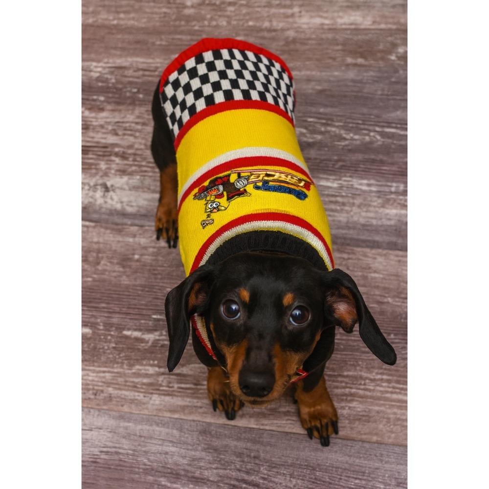 Nickelodeon Spongebob Squarepants Sponge‎ Racer Dog Sweater Size Large